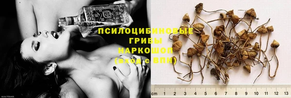 шишки Арсеньев