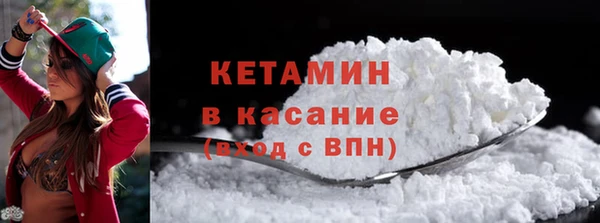 шишки Арсеньев