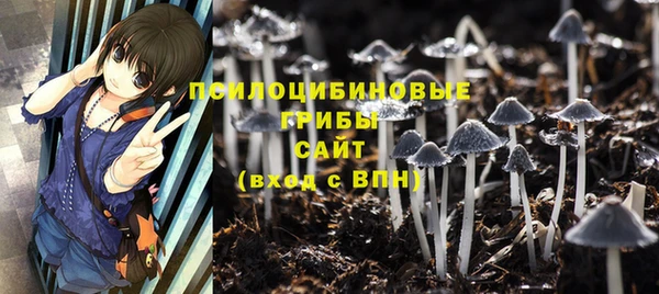 ALPHA PVP Аркадак