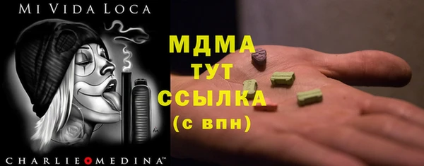 шишки Арсеньев