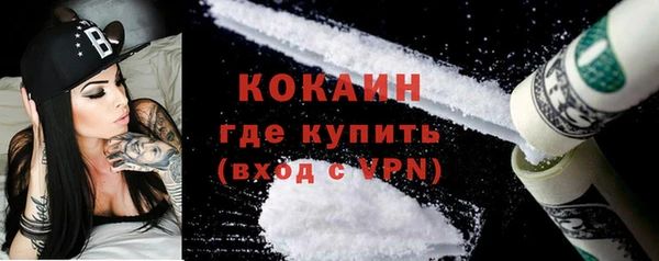 шишки Арсеньев